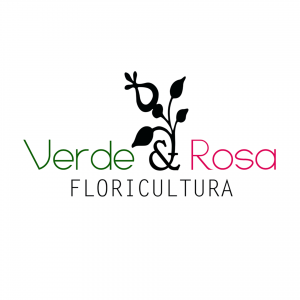 logo verde e rosa2