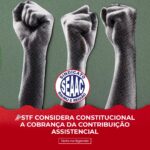 Seaac promove festa gratuita de Dia das Crianças em Bauru