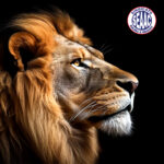 Carnaval é feriado ou não? Afinal, o trabalhador tem direito a folga?